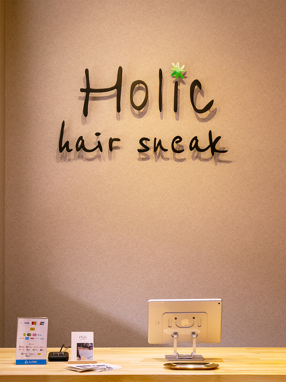 Holic hair sneak